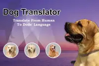 Dog Translator Simulation Screen Shot 2