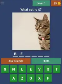 Guess The Cat Breed Quiz Screen Shot 0