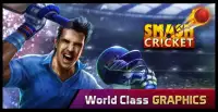 Cricket Live '16 Screen Shot 0