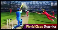 Cricket Live '16 Screen Shot 6