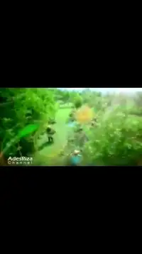 Video Lagu Anak Indonesia Top Screen Shot 0