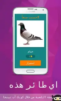Birds Guess Game (Arabic) Screen Shot 1