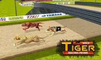 Wild Tiger Racing Fever : Animal Racing Game Screen Shot 3