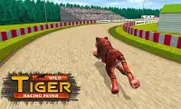 Wild Tiger Racing Fever : Animal Racing Game Screen Shot 2