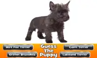 Guess The Puppy 2 Trivia Game Screen Shot 5