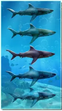 Shark Attack Game - Blue whale sim Screen Shot 6