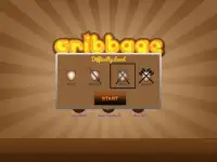 Cribbage Offline Screen Shot 0