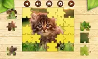 Kitten Cat Jigsaw Puzzles Game Screen Shot 4