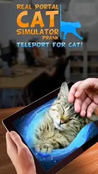 Real Portal Cat Simulator Prank Screen Shot 1