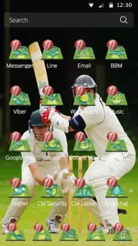 American Ball Game Theme Cricket Popular Sport Screen Shot 1