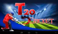 Cricket Fever Screen Shot 0