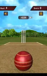 Flick Cricket 3D T20 World Cup Screen Shot 1