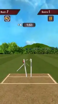 Flick Cricket 3D T20 World Cup Screen Shot 3