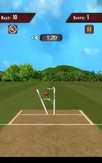Flick Cricket 3D T20 World Cup Screen Shot 0