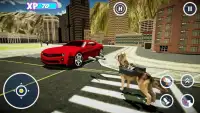 Dog Rampage Simulator - Wild Life Screen Shot 1