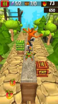 Temple Crash Jungle Run Bandicot Screen Shot 1