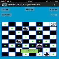 Chess Queen and King Problem Screen Shot 3