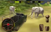 Wild Animal Safari Park 3D Sim Screen Shot 11