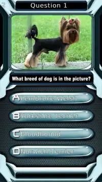 Dog Breed Animal Quiz Game Screen Shot 1