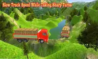 Monster Cargo Truck Offroad Driving Game Screen Shot 2