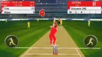 Play Cricket Screen Shot 0