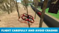 RC Quadcopter Drone Sim 3D Screen Shot 1