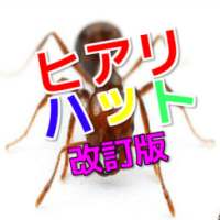 ヒアリ・ハット02forFire Ant Simulator