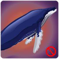 Blue Whale : The Game