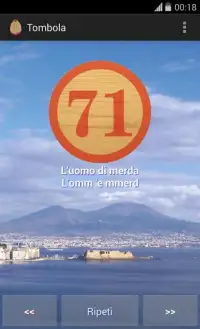 Tombola (Italian Bingo) Screen Shot 7