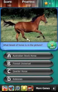 Horse Breeds & Pony Quiz HD Screen Shot 0