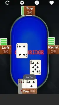 Call Bridge Lite Screen Shot 9