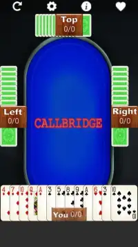 Call Bridge Lite Screen Shot 4
