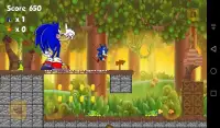 Super Sonic Jungle Run Screen Shot 1