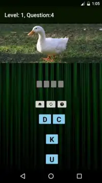 Animals & Birds Quiz Screen Shot 8
