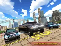 Limo Taxi Car Driving Simulator : Public Transport Screen Shot 5
