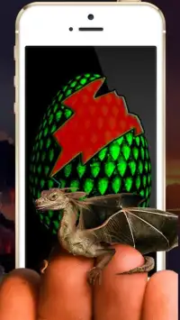 Dragon Eggs Screen Shot 0