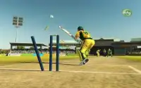 Real T20 Cricket Games 3D 2018 Screen Shot 1