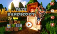 Super Adventure of Crash Bandicoot 3D Screen Shot 4