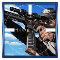 *Sniper Assassin Fury Shot 3D