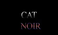 Cat Noir Adventur NEW Screen Shot 5