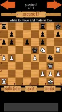 Chess Puzzles Screen Shot 3