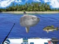 Fishing Challenge Superstars 2 Screen Shot 6