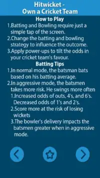 Tips For Hitwicket Cricket Screen Shot 2