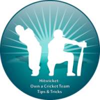 Tips For Hitwicket Cricket