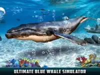 Scary Blue Whale Ocean Predator 2017 Screen Shot 1
