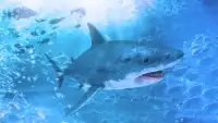 الحوت الأزرق التحديات: هجوم صيد سمك القرش Screen Shot 0