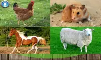 Учим животных и звуки для малышей Screen Shot 2