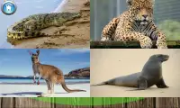 Учим животных и звуки для малышей Screen Shot 1