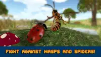 Ladybug Insect Simulator 3D Screen Shot 2