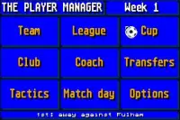 The Soccer Player Manager 2016 Screen Shot 8